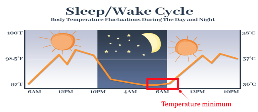 Sleep/Wake Cycle